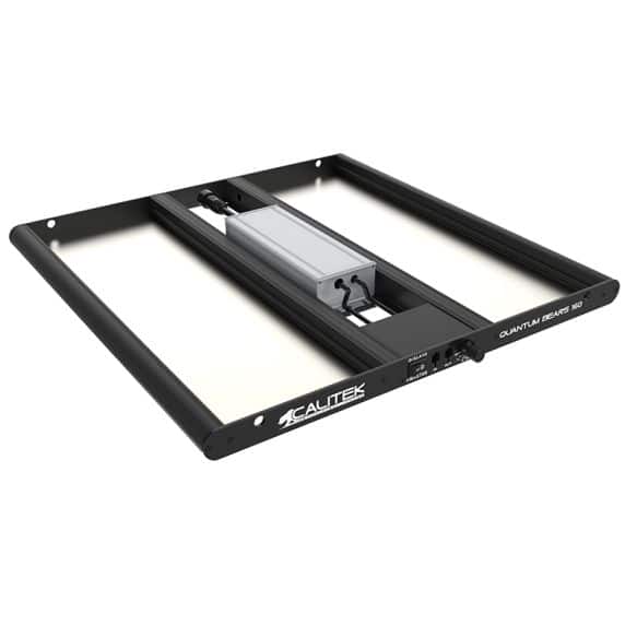 CALITEK 160W QUANTUM BEARS