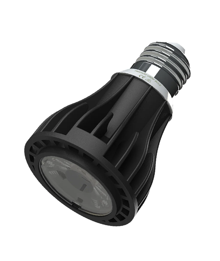 Ampoule LED CROISSANCE GB15W