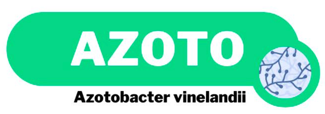 AZOTO - Azotobacter vinelandii