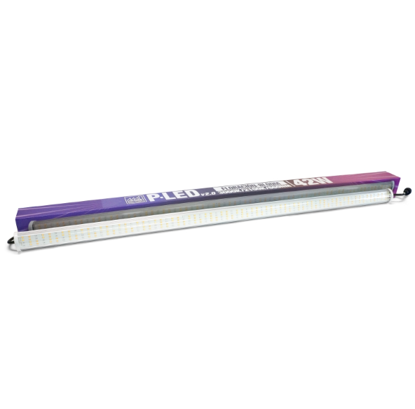 P-LED V2.0 42 W 2100K BLOOM (CÂBLE D'ALIMENTATION NON INCLUS)