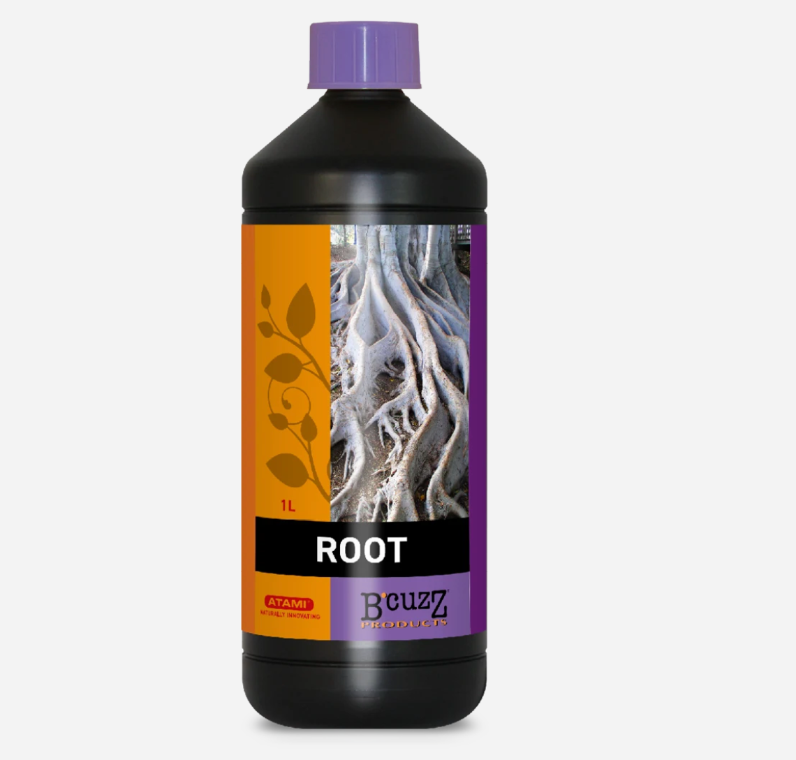 B’cuzz Root