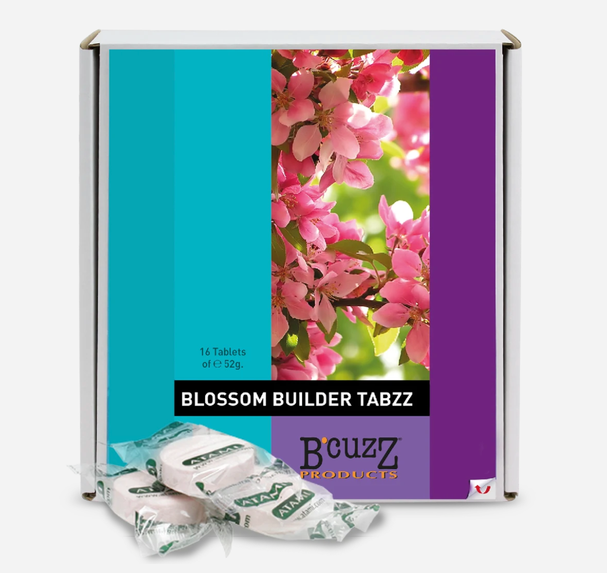 B’cuzz Blossom Builder Tabzz