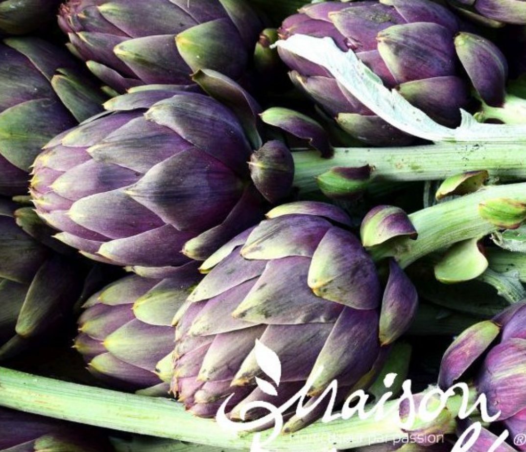 Artichaut Amethyste