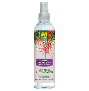 Masso garden engrais tillandsia