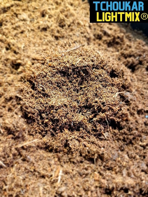 terreau tchoukar lightmix