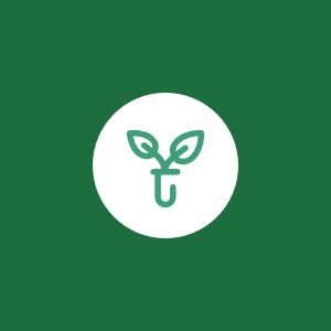 GERMINATION ET RECOLTE
