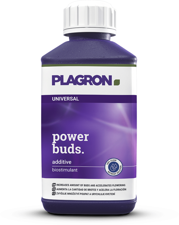 Power Buds 250ml