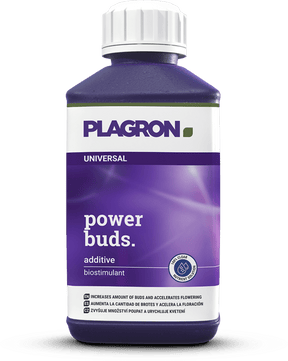 Power Buds 250ml