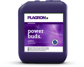 5l-power-buds - Biostimulant