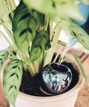 Olla aka OYA est la solution qui vous permet d'arroser vos plantes en toute tranquillité. Une solution parfaite pour un arrosage autonome.
