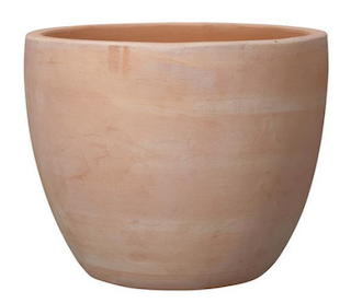 Pot Dulce