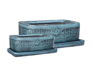 Mini Jardin + Plateau Japandi