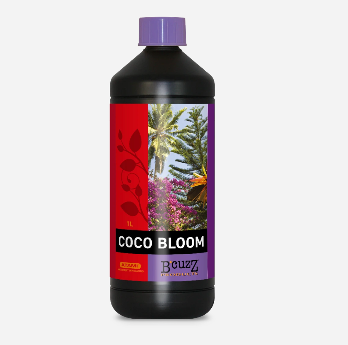 B’cuzz Coco Bloom