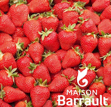 Fraisier gariguette