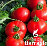 Tomate Fournaise