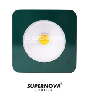 LED COB F1 V2 300 Supernova Lighting