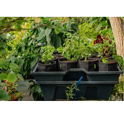SYSTEME HYDRO GHE TERRA AQUATICA EN SITUATION EBB AND GROW