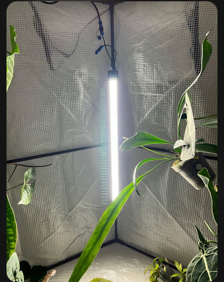 La bionic bar MAX est une barre LED de 55 cm de long à base de lampes LED Samsung LM301H