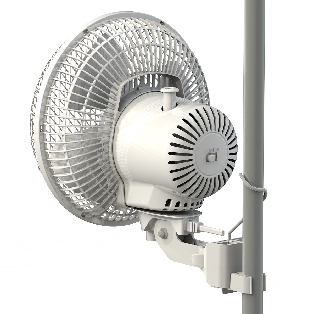 MONKEY FAN SECRET JARDIN VUE DE DOS