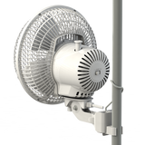 MONKEY FAN SECRET JARDIN VUE DE DOS