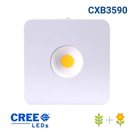 Panneau LED P250WX Leds COB - ultra puissant et ultra compact - denrière génération