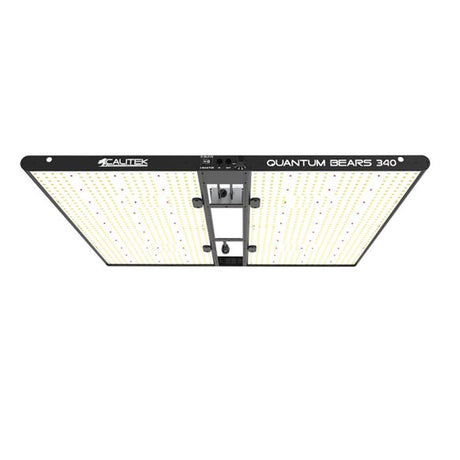calitek quantum bears 340w